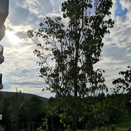 山景别墅公寓 In A Beautiful Landscape 公寓 *